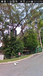 Swiss Club Park (D11), Detached #520127551